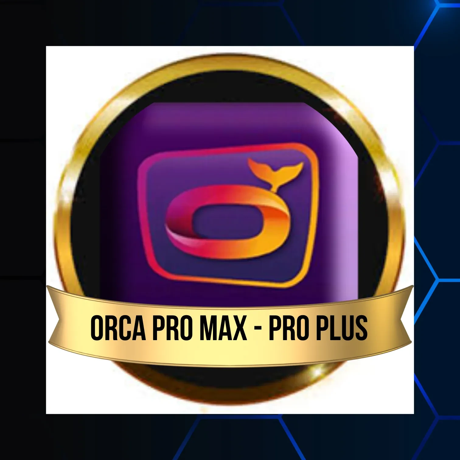 Orca Pro Max Abonnement Orca pro max 12 mois
